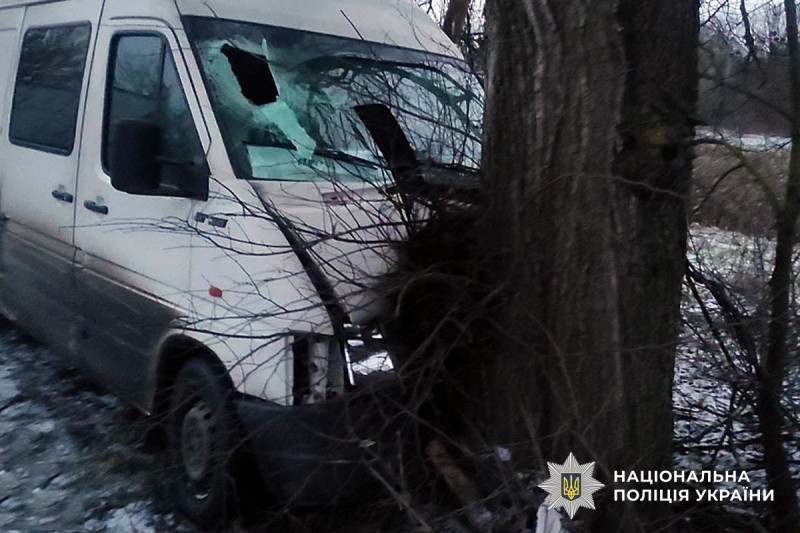 На Полтавщині мікроавтобус вилетів з дороги та врізався у дерево: є поранена