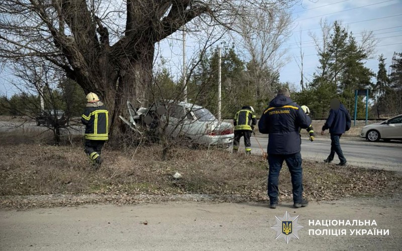У Полтавській області водій легковика врізався у дерево й загинув
