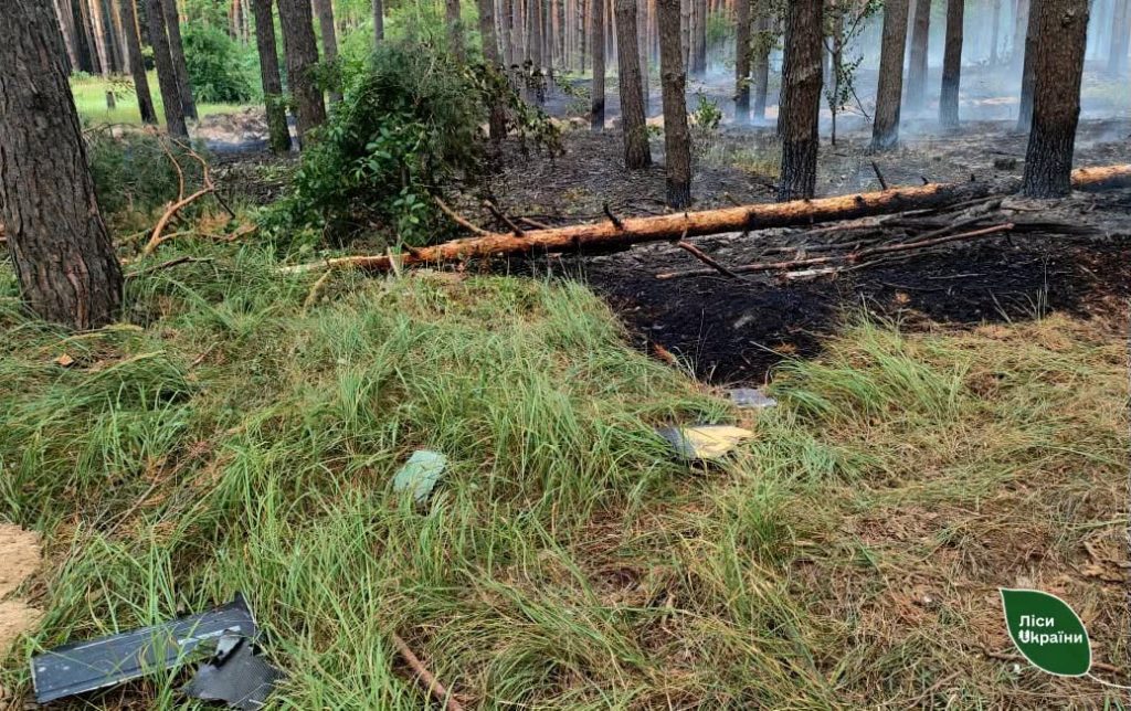 У Полтавській області сталася пожежа в лісі через атаку дронів