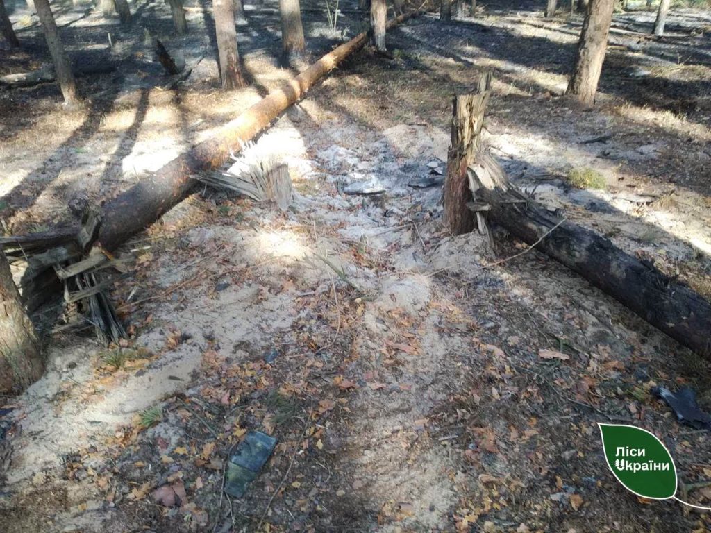 У Полтавській області горів ліс через російську атаку
