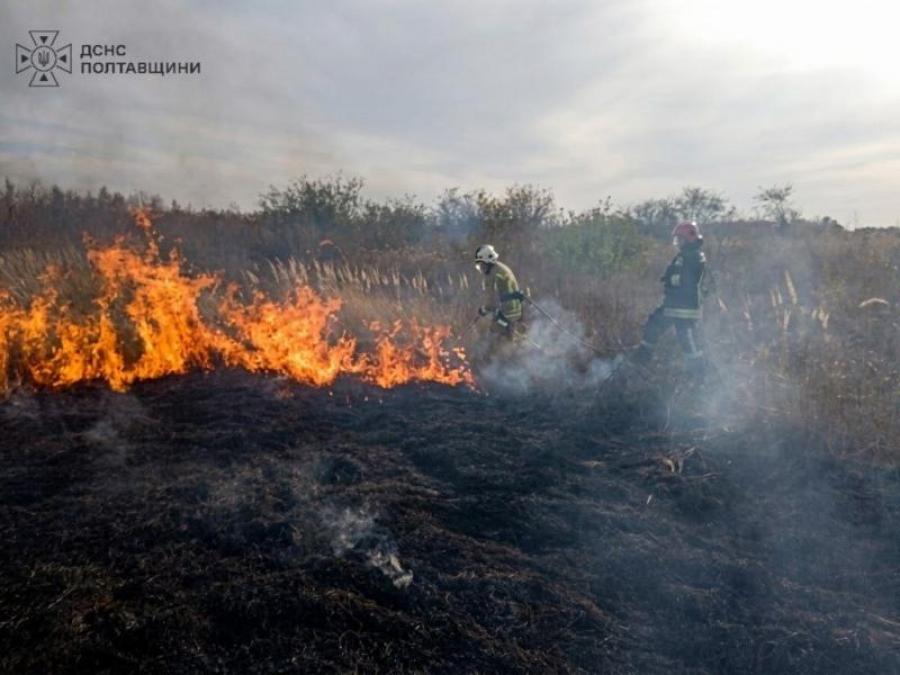На Полтавщині через падіння уламків російських БпЛА загорілася суха рослинність На Полтавщині через падіння уламків російських БпЛА загорілася суха рослинність