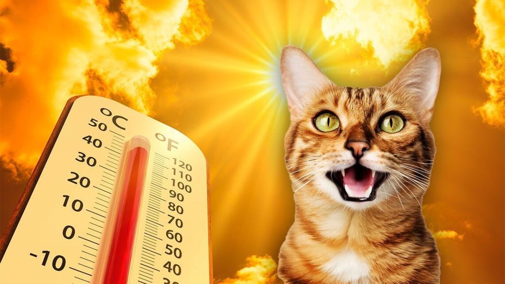 У Полтавській області прогнозують спеку до +35º