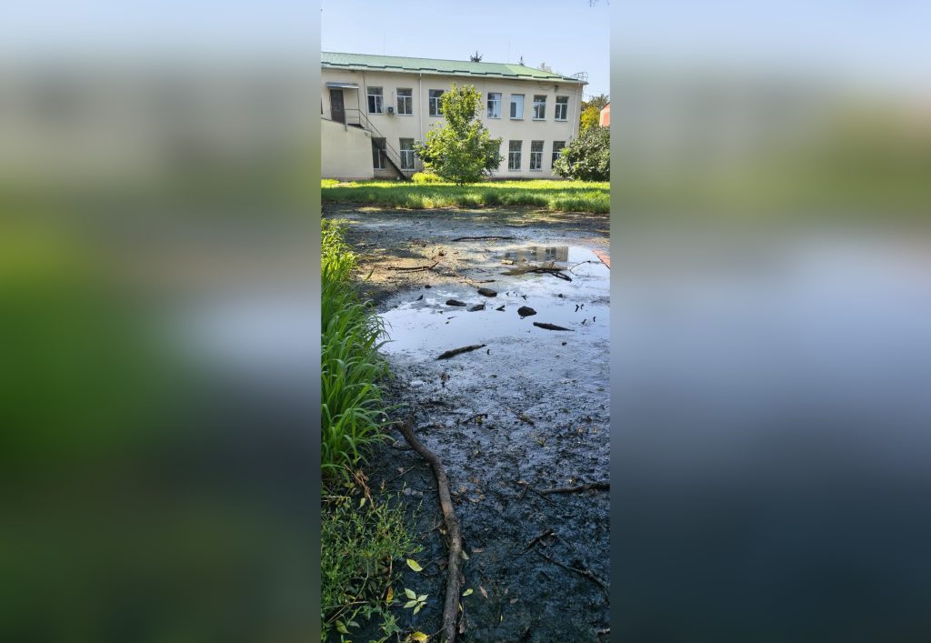 У Карлівці виявили забруднення землі через витік із каналізації