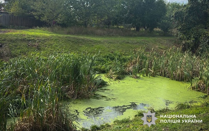 Пішла збирати ряску: у водоймі на Полтавщині знайшли тіло жінки Пішла збирати ряску: у водоймі на Полтавщині знайшли тіло жінки
