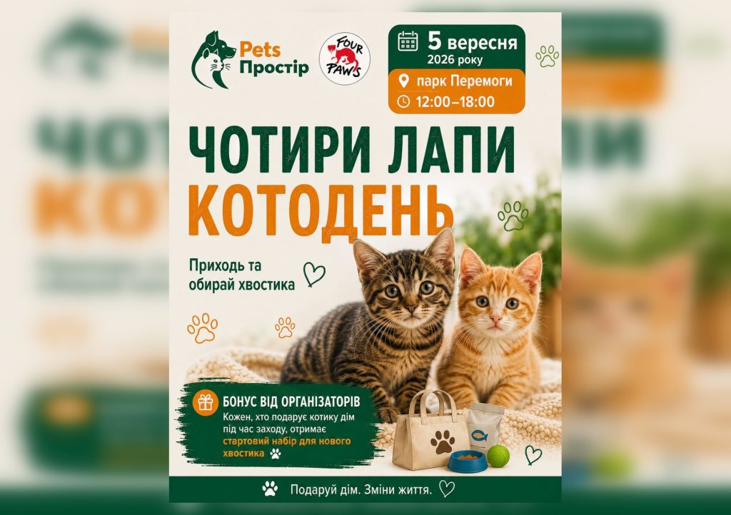У Полтаві проведуть «Котодень» для прилаштування безпритульних котів Благодійний «Котодень» для прилаштування безпритульних котів у Полтаві