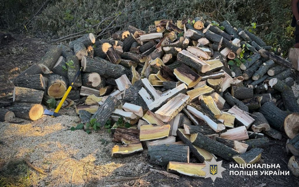 На Полтавщині троє чоловіків незаконно вирубували дерева