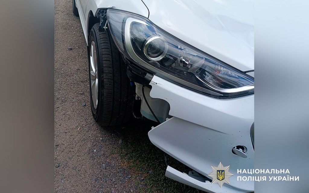На трасі Київ – Харків водійка легковика збила чоловіка із собакою й втекла
